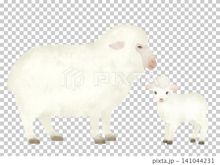 羊年:一幅可愛的綿羊一家插圖。 羊年:一幅可愛的綿羊一家插圖。 141044231