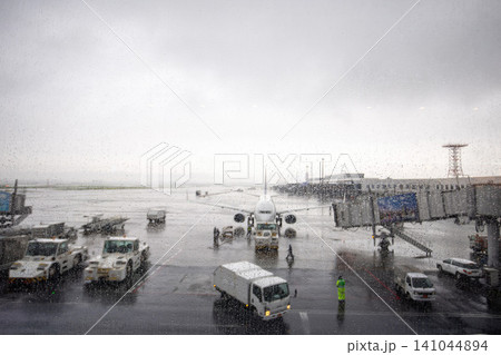 雨の羽田空港 ターミナル窓越しに見る駐機中の旅客機 雨の羽田空港 ターミナル窓越しに見る駐機中の旅客機 141044894