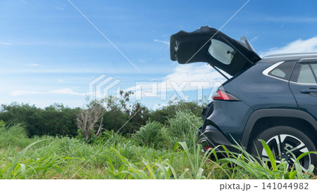 Close up green grass in the foreground. With blurred modern dark SUV parked in a wild green grassy field with its rear trunk open wide set against a bright clear blue sky on a daytime outdoor trip. Close up green grass in the foreground. With blurred modern dark SUV parked in a wild green grassy field with its rear trunk open wide set against a bright clear blue sky on a daytime outdoor trip. 141044982