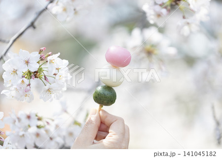 3色団子(桜の背景) 3色団子(桜の背景) 141045182