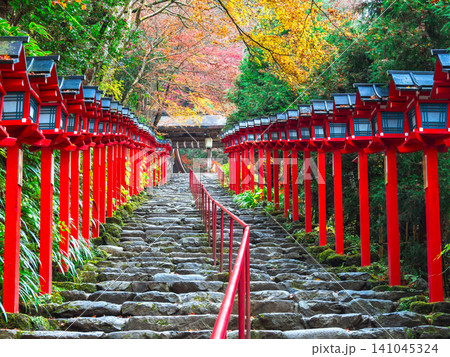 秋の京都　貴船神社　参道石段 141045324