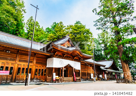 長野 穂高神社 拝殿と御神木 長野 穂高神社 拝殿と御神木 141045482
