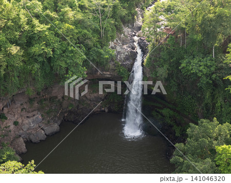 Waterfall flows into pool surrounded by trees in natural setting Waterfall flows into pool surrounded by trees in natural setting 141046320