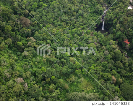 View of dense forest with a waterfall in a tropical area in daytime 141046328