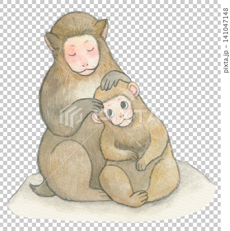Parent and child of monkey Parent and child of monkey 141047148