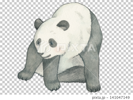 坐熊貓 坐熊貓 141047149