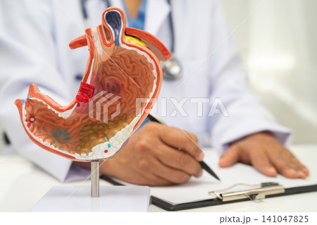 Stomach disease, doctor with anatomy model for study diagnosis and treatment in hospital. Stomach disease, doctor with anatomy model for study diagnosis and treatment in hospital. 141047825