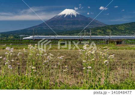 富士山と新幹線が走る富士市の風景 富士山と新幹線が走る富士市の風景 141048477