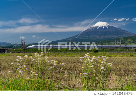富士山と新幹線が走る富士市の風景 富士山と新幹線が走る富士市の風景 141048479