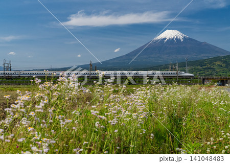 富士山と新幹線が走る富士市の風景 富士山と新幹線が走る富士市の風景 141048483