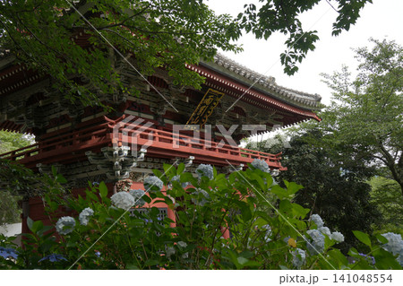 仁王門と紫陽花 仁王門と紫陽花 141048554