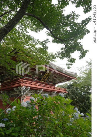 仁王門と紫陽花 仁王門と紫陽花 141048555