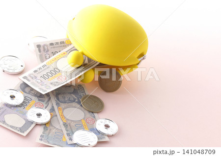 がま口のお財布とおもちゃのお金 141048709
