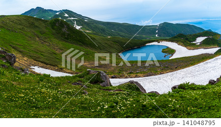 初夏の鳥海山登山鳥海湖付近高山植物 初夏の鳥海山登山鳥海湖付近高山植物 141048795