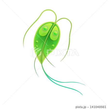 Bacteria germ or bacillus microorganism cartoon icon of ameba protozoa or protista. Green amoeba or microbe bacterium and pathogen parasite micro organism or protist microbiome of microbiota Bacteria germ or bacillus microorganism cartoon icon of ameba protozoa or protista. Green amoeba or microbe bacterium and pathogen parasite micro organism or protist microbiome of microbiota 141048981