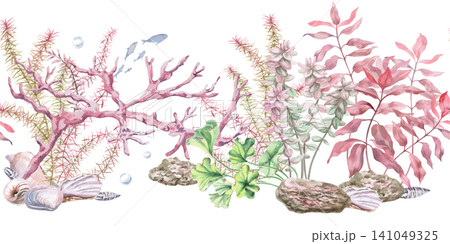 Coral branch in shells, lush seaweed in a seamless border. Isolated watercolor illustration for interior design, textile printing, creating marine themes, children's illustrations. 141049325