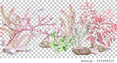 Coral branch in shells, lush seaweed in a seamless border. Isolated watercolor illustration for interior design, textile printing, creating marine themes, children's illustrations. 141049325
