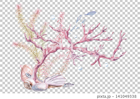 Watercolor illustration of corals, seaweed, and shells. Atmospheric marine design for branding, advertising, interiors, cafe menus, and themed websites. Watercolor illustration of corals, seaweed, and shells. Atmospheric marine design for branding, advertising, interiors, cafe menus, and themed websites. 141049338