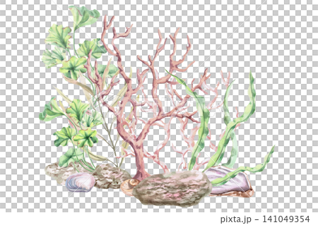 A watercolor illustration of underwater seaweed, coral, and rocks. A delicate floral composition for beach shops, spas, wedding stationery, invitations, and other themed designs. 141049354