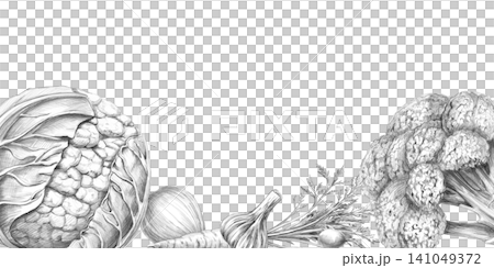 Rectangular frame with cauliflower, onions, garlic, and broccoli. Graphite pencil illustration for culinary blogs, restaurants, farm food stores, fitness studios, educational materials, and packaging. Rectangular frame with cauliflower, onions, garlic, and broccoli. Graphite pencil illustration for culinary blogs, restaurants, farm food stores, fitness studios, educational materials, and packaging. 141049372