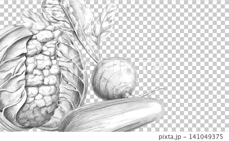 Rectangular frame with cauliflower, beets, and zucchini. Graphite pencil illustration for culinary blogs, restaurants, farm food stores, fitness studios, educational materials, and packaging. Rectangular frame with cauliflower, beets, and zucchini. Graphite pencil illustration for culinary blogs, restaurants, farm food stores, fitness studios, educational materials, and packaging. 141049375