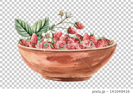 Clay bowl with strawberries and leaves. Isolated watercolor illustration for cosmetic brands, flower studios, wedding agencies and interior designers. Clay bowl with strawberries and leaves. Isolated watercolor illustration for cosmetic brands, flower studios, wedding agencies and interior designers. 141049416