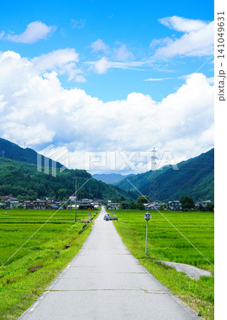 青空と入道雲の下に一直線に伸びる夏の田舎道と美しい田園風景 青空と入道雲の下に一直線に伸びる夏の田舎道と美しい田園風景 141049631