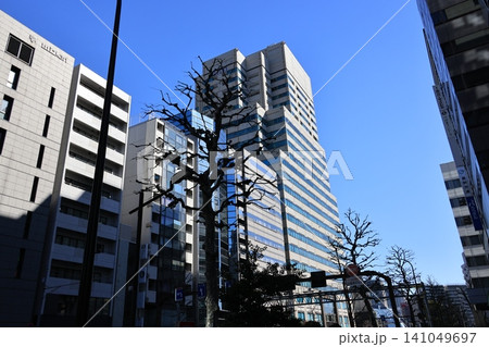 東京都中央区永代通りの風景 東京都中央区永代通りの風景 141049697