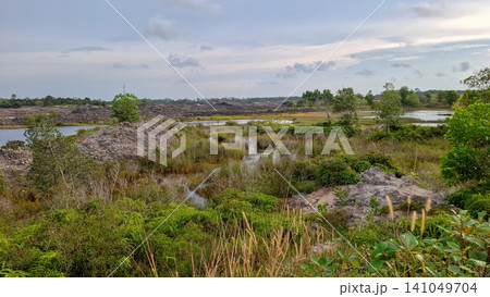 Scenic View of Lake and Ex Coal Mining Site Surrounded by Wild Nature Scenic View of Lake and Ex Coal Mining Site Surrounded by Wild Nature 141049704