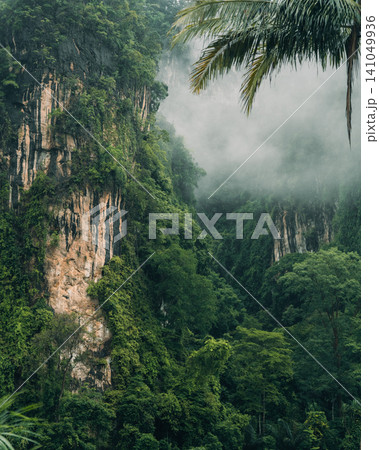 Dirt trail leading towards dramatic limestone karst mountains hidden in thick tropical mist. 141049936