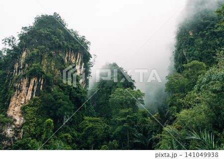 Dirt trail leading towards dramatic limestone karst mountains hidden in thick tropical mist. 141049938