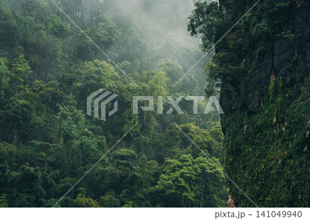 Dramatic steep limestone cliff faces covered in dense tropical rainforest vegetation and fog. Dramatic steep limestone cliff faces covered in dense tropical rainforest vegetation and fog. 141049940