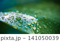 Fresh green leaf, sparkling water droplets, dewy macro closeup. Vibrant summer nature, beautiful natural detail. Peaceful eco wellbeing background, pure botanical green design wallpaper 141050039