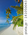 Gorgeous tropical beach, palm trees, turquoise sea, vertical paradise island. Sunny summer white sand shore, exotic vacation escape. Relaxing travel destination wallpaper, peaceful coastal scene 141050043