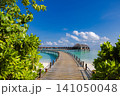 Idyllic Maldives pier, palm trees, turquoise lagoon, vertical tropical paradise. Luxury resort island escape, exotic summer travel. Romantic honeymoon vacation destination wallpaper scene 141050048