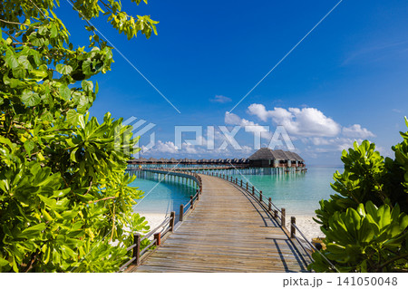 Idyllic Maldives pier, palm trees, turquoise lagoon, vertical tropical paradise. Luxury resort island escape, exotic summer travel. Romantic honeymoon vacation destination wallpaper scene Idyllic Maldives pier, palm trees, turquoise lagoon, vertical tropical paradise. Luxury resort island escape, exotic summer travel. Romantic honeymoon vacation destination wallpaper scene 141050048