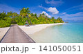 Stunning Maldives pier, palm trees, turquoise lagoon, luxury resort paradise. Wooden jetty tropical island, exotic summer travel escape. Romantic honeymoon vacation destination wallpaper 141050051