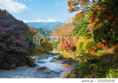 御岳渓谷の紅葉と青空の風景 141050340