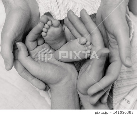 Black and white image of newborn baby feet in parents hands. Concept of family, care, unity and protection 141050395