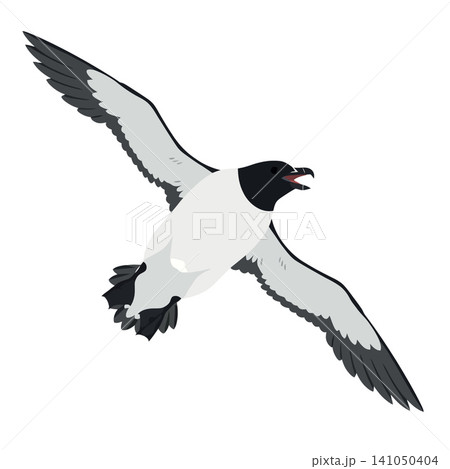 Vsai razorbill seabird flying with open beak Vsai razorbill seabird flying with open beak 141050404
