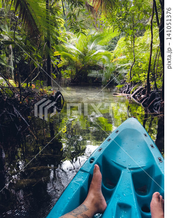 POV kayaking through a crystal clear stream in a lush tropical mangrove forest. POV kayaking through a crystal clear stream in a lush tropical mangrove forest. 141051376