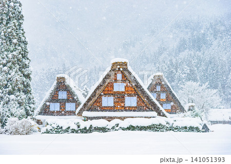 冬の白川郷 雪降りしきる一面の銀世界の中に佇む合掌造りの三小屋と三本の木の風景 141051393