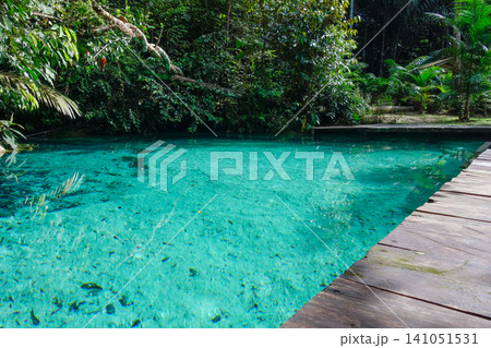 turquoise and crystalline spring pool of fresh water into Amazon rainforest. Presidente Figueiredo, Amazonas, Brazil turquoise and crystalline spring pool of fresh water into Amazon rainforest. Presidente Figueiredo, Amazonas, Brazil 141051531