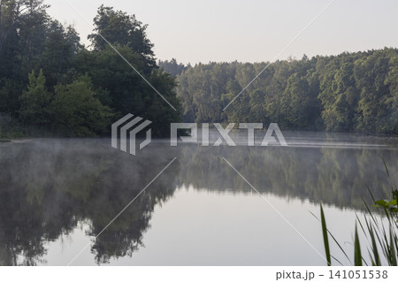 A serene morning view of a misty river flowing through a dense forest at dawn. The calm water reflects the trees, creating a peaceful, atmospheric landscape scene in the early morning light in nature. A serene morning view of a misty river flowing through a dense forest at dawn. The calm water reflects the trees, creating a peaceful, atmospheric landscape scene in the early morning light in nature. 141051538