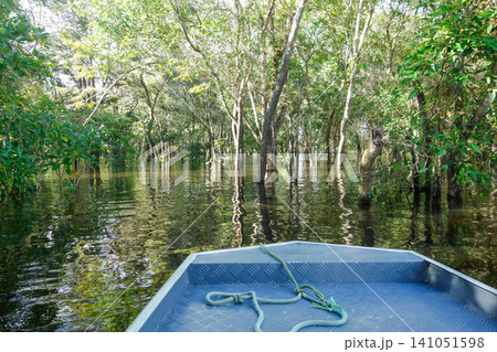 sailing through flooded forests of Brazilian Amazon rainforest. sailing through flooded forests of Brazilian Amazon rainforest. 141051598