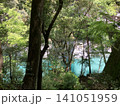 木々の間から見える青い池 141051959