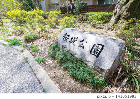 桜堤遊歩道・仙川周辺 桜堤遊歩道・仙川周辺 141051993