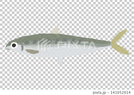 一幅簡單的手繪沙丁魚插圖。 一幅簡單的手繪沙丁魚插圖。 141052014
