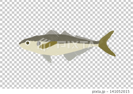 一幅簡單的手繪竹莢魚插圖。 一幅簡單的手繪竹莢魚插圖。 141052015