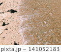 白い砂浜 141052183